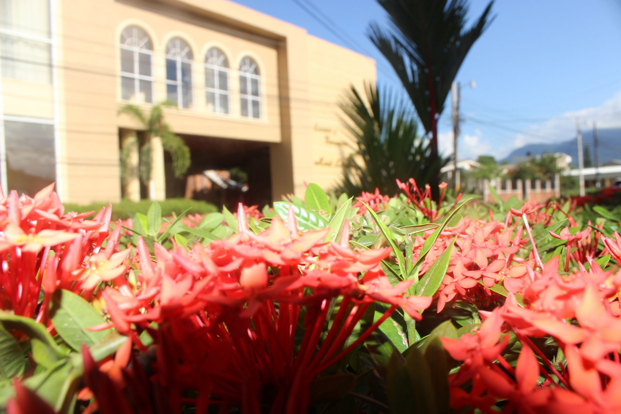 Hotel La Quinta La Ceiba Kültér fotó